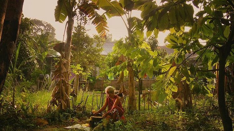 Produktbild: The Look of Silence
