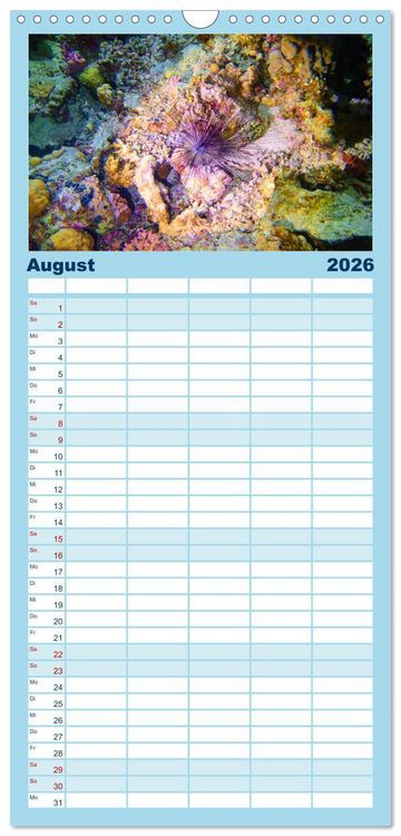Produktbild: Familienplaner 2026 - Geheimnisvolle Welt unter Wasser - Nachts am Riff mit 5 Spalten (Wandkalender, 21 x 45 cm) CALVENDO