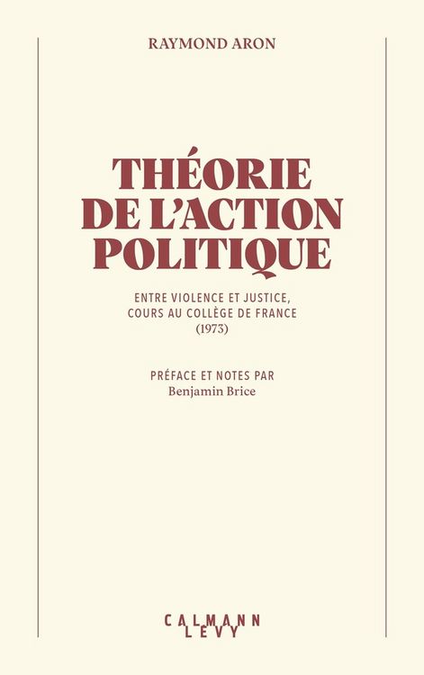 Produktbild: Th&eacute;orie de l'action politique : entre violence et justice
