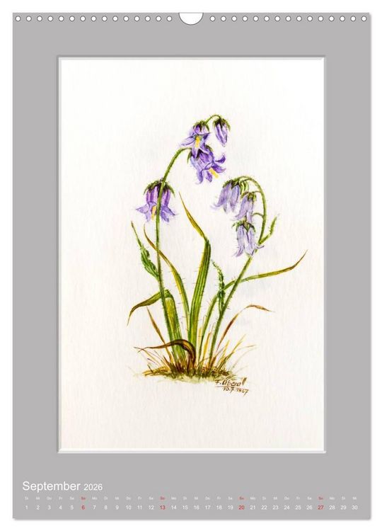 Produktbild: Alpenblumen Aquarelle aus Tirol (Wandkalender 2026 DIN A3 hoch), CALVENDO Monatskalender