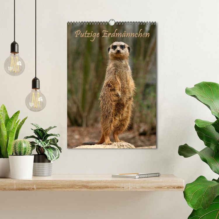 Produktbild: Erdm&auml;nnchen / Terminplaner (Wandkalender 2026 DIN A3 hoch), CALVENDO Monatskalender