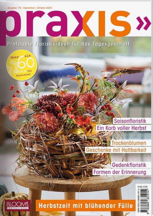 Produktbild: Praxis Nr. 113