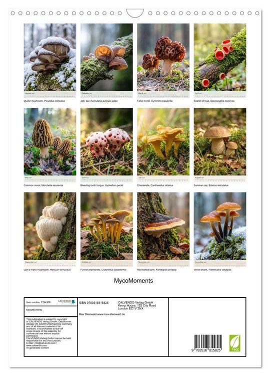 Produktbild: MycoMoments (Wall Calendar 2027 DIN A3 portrait), CALVENDO 12 Month Wall Calendar