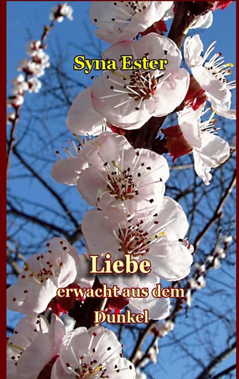 Produktbild: Liebe erwacht aus dem Dunkel