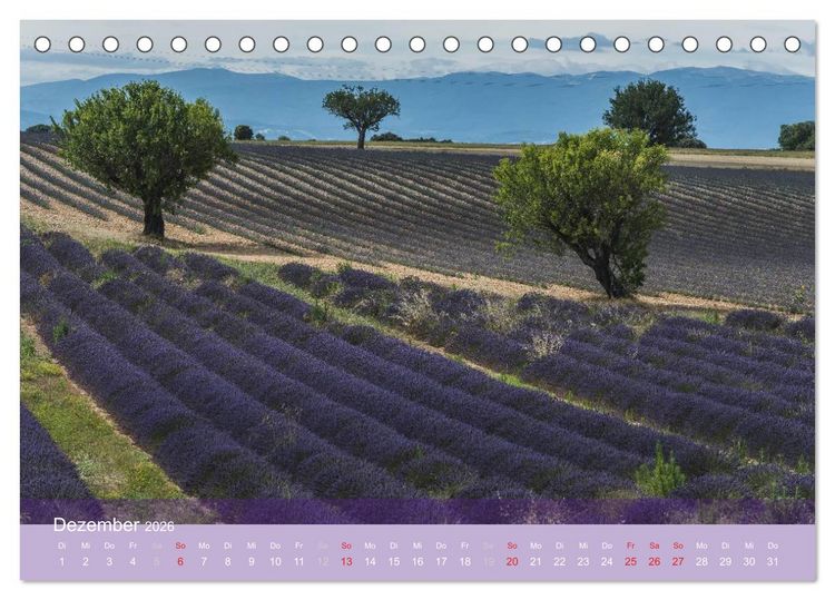 Produktbild: Die Farbe des Lavendels (Tischkalender 2026 DIN A5 quer), CALVENDO Monatskalender