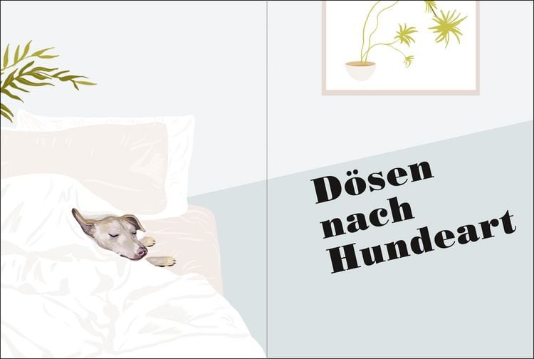 Produktbild: Wuff - Wie gut kennst du deinen Hund?