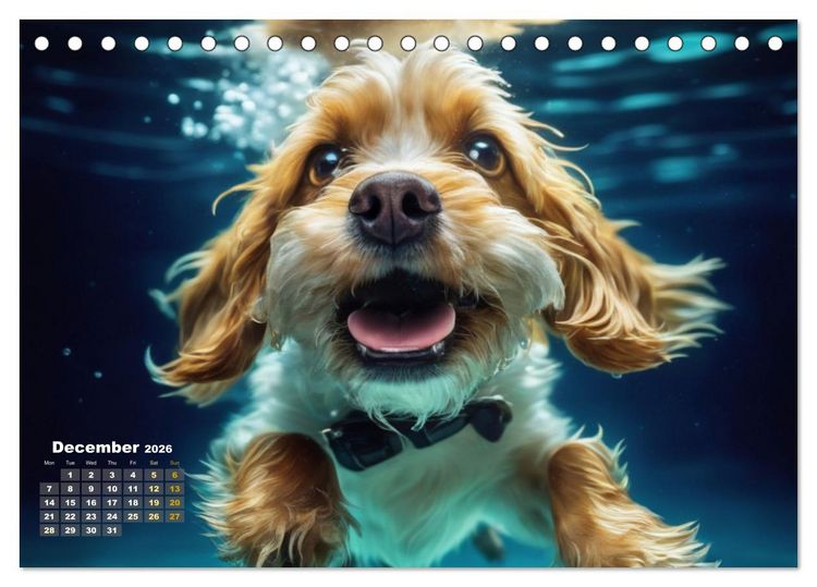 Produktbild: Dogs: intrepid swimmers (Desk Calendar 2026 DIN A5 landscape), CALVENDO 12 Month DeskCalendar