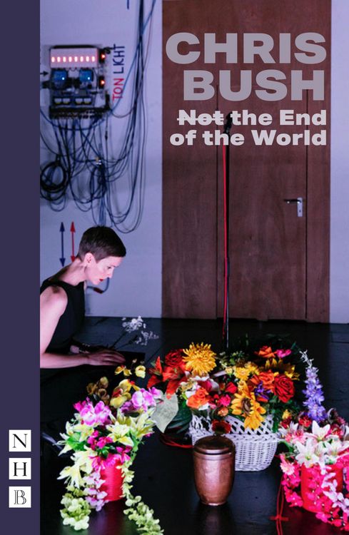 Produktbild: (Not) the End of the World