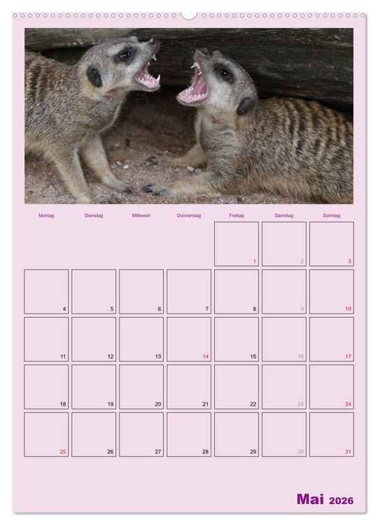 Produktbild: Erdm&auml;nnchen / Terminplaner (Wandkalender 2026 DIN A2 hoch), CALVENDO Monatskalender