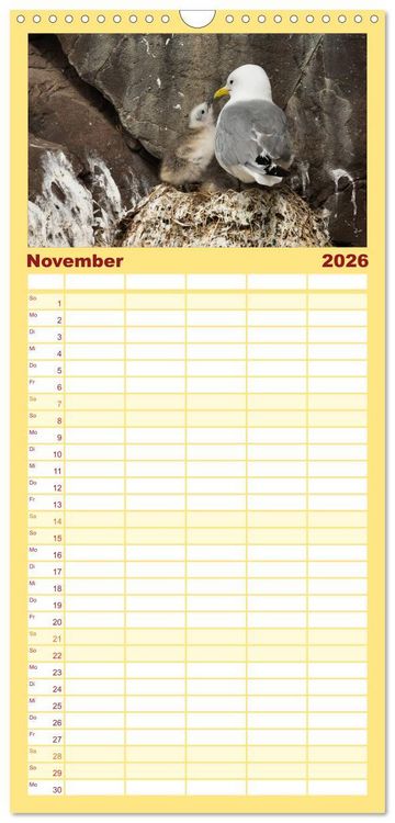 Produktbild: Familienplaner 2026 - Tierbabys 2026 mit 5 Spalten (Wandkalender, 21 x 45 cm) CALVENDO