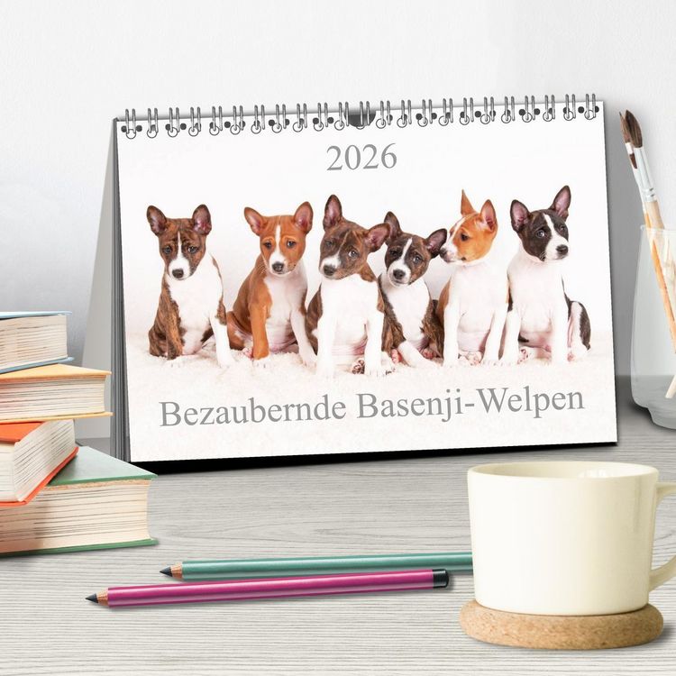Produktbild: Bezaubernde Basenji-Welpen (Tischkalender 2026 DIN A5 quer), CALVENDO Monatskalender