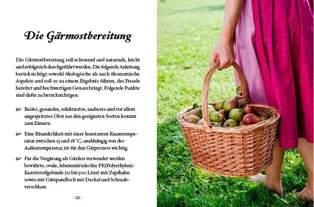 Produktbild: Das kleine Buch: Most selber machen