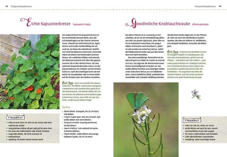 Produktbild: Mein Schmetterlingsgarten