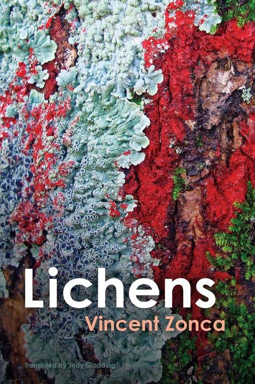 Produktbild: Lichens