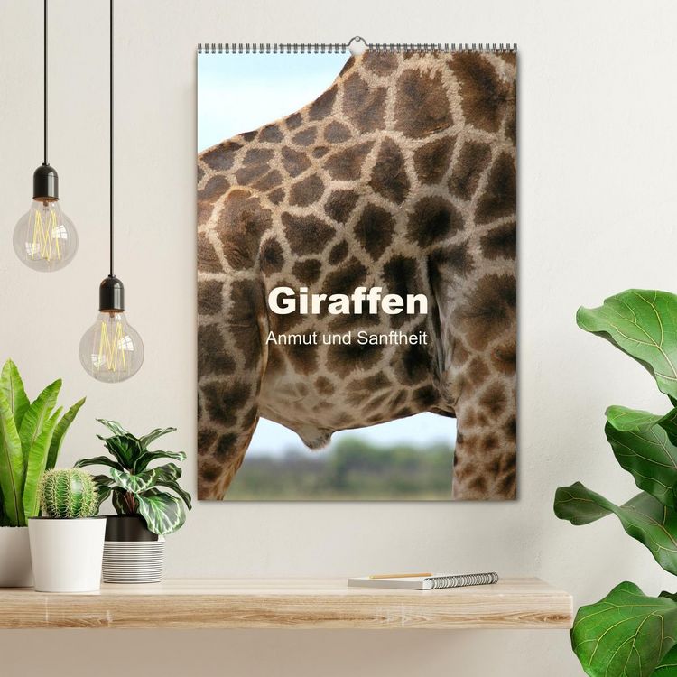 Produktbild: Giraffen - Anmut und Sanftheit (Wandkalender 2026 DIN A2 hoch), CALVENDO Monatskalender