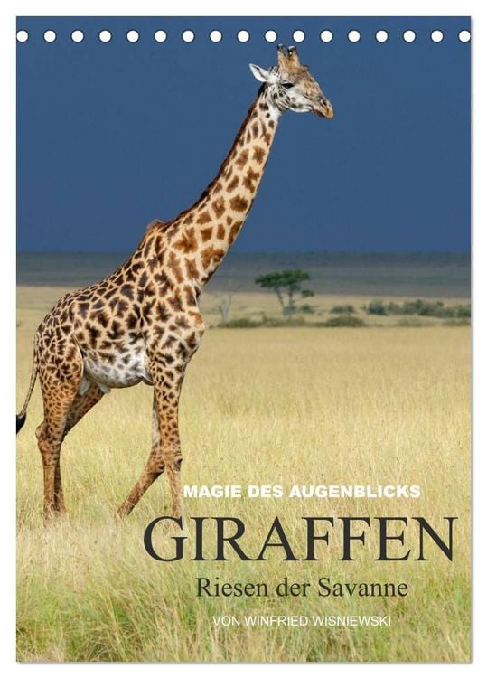 Produktbild: Magie des Augenblicks - Giraffen - Riesen der Savanne (Tischkalender 2027 DIN A5 hoch), CALVENDO Monatskalender