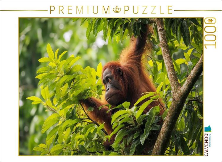 Produktbild: CALVENDO Puzzle Von Baum zu Baum | 1000 Teile Lege-Gr&ouml;&szlig;e 64x48cm Foto-Puzzle f&uuml;r gl&uuml;ckliche Stunden
