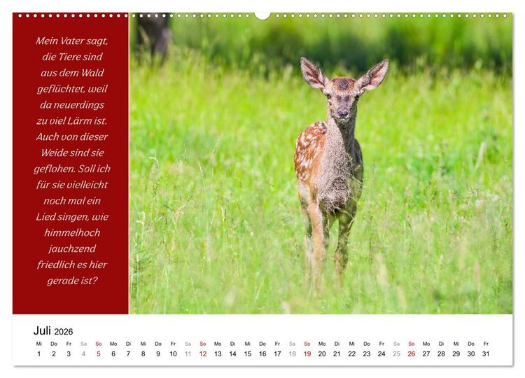Produktbild: Tiere und feiner Humor (Wandkalender 2026 DIN A2 quer), CALVENDO Monatskalender