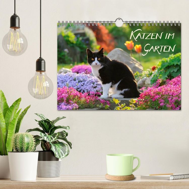 Produktbild: Katzen im Garten (Wandkalender 2027 DIN A4 quer), CALVENDO Monatskalender