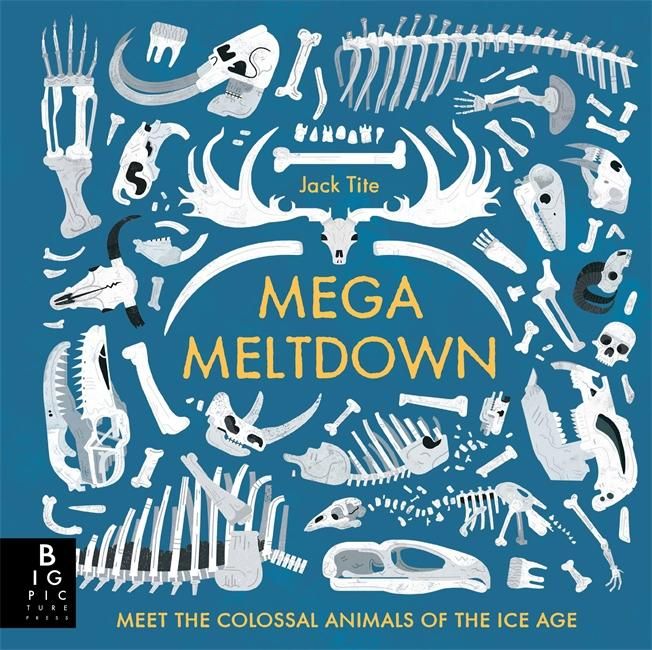 Produktbild: Tite, J: Mega Meltdown
