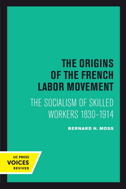 Produktbild: The Origins of the French Labor Movement