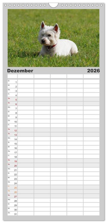 Produktbild: Familienplaner 2026 - West Highland White Terrier - Selbstbewustes Powerpaket - der Westie mit 5 Spalten (Wandkalender, 21 x 45 cm) CALVENDO