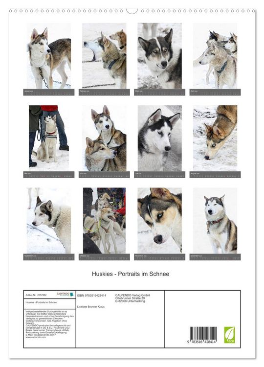 Produktbild: Huskies - Portraits im Schnee (hochwertiger Premium Wandkalender 2026 DIN A2 hoch), Kunstdruck in Hochglanz