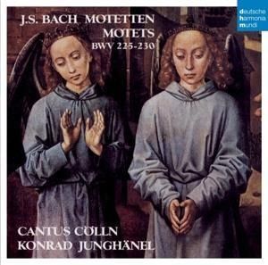 Produktbild: Cantus Cölln: Motetten