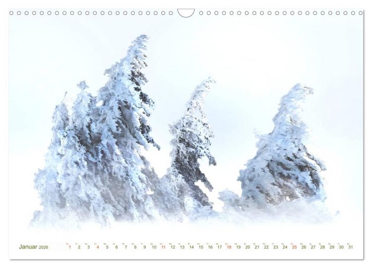 Produktbild: B&Auml;UME - wie gemalt (Wandkalender 2026 DIN A3 quer), CALVENDO Monatskalender