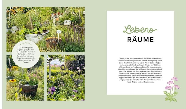 Produktbild: Mein wilder, bunter Garten &ndash;&nbsp;Einfach naturnah g&auml;rtnern