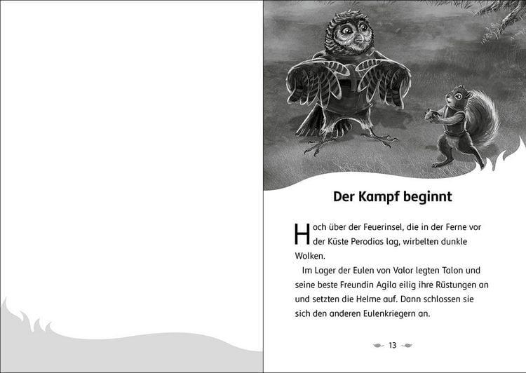 Produktbild: Der letzte Feuerfalke und das magische Ei (Band 13)
