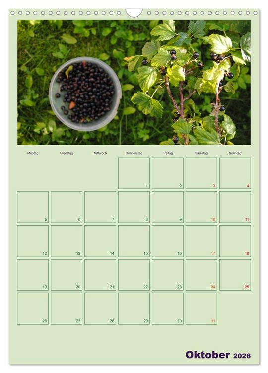Produktbild: Gartenplaner (Wandkalender 2026 DIN A3 hoch), CALVENDO Monatskalender