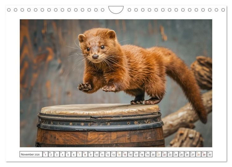 Produktbild: Kleine freche Nerze (Wandkalender 2026 DIN A4 quer), CALVENDO Monatskalender