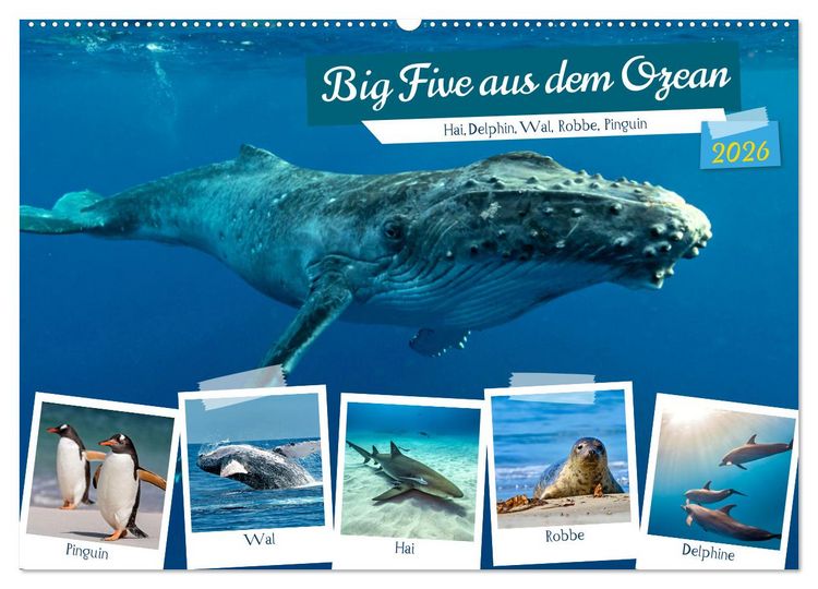 Produktbild: Big Five aus dem Ozean Hai, Delphin, Wal, Robbe, Pinguin (Wandkalender 2026 DIN A2 quer), CALVENDO Monatskalender