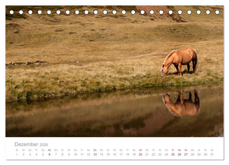 Produktbild: Pferde - In nat&uuml;rlicher Umgebung (Tischkalender 2026 DIN A5 quer), CALVENDO Monatskalender