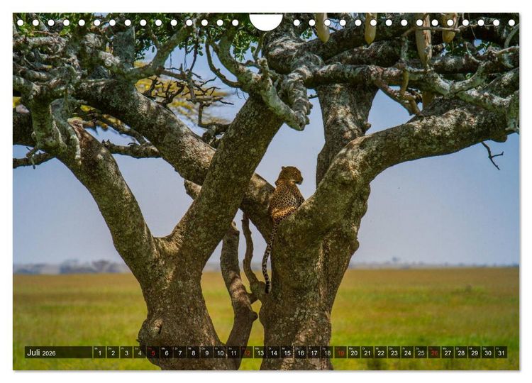 Produktbild: Abenteuer Tansania, Afrika (Wandkalender 2026 DIN A4 quer), CALVENDO Monatskalender