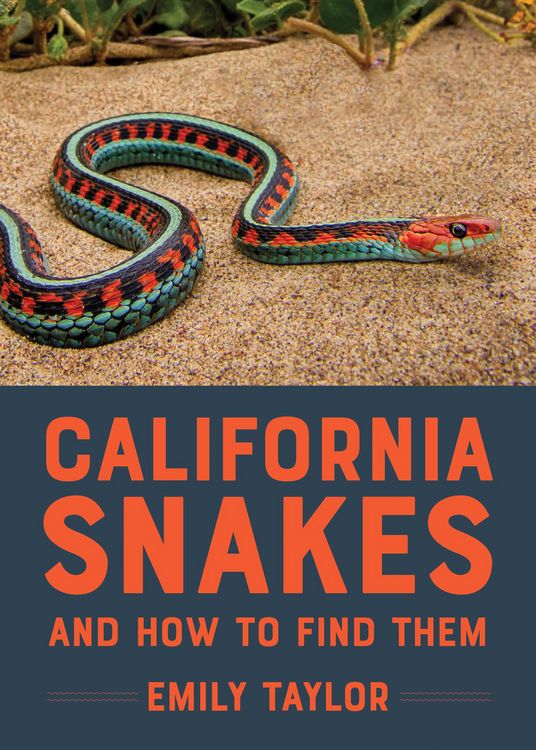 Produktbild: California Snakes and How to Find Them