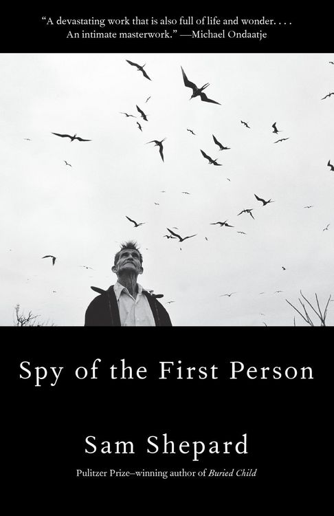 Produktbild: Spy of the First Person