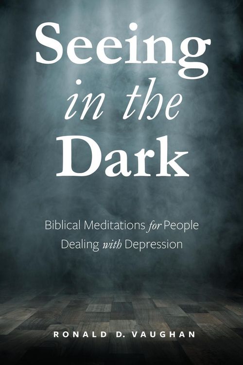 Produktbild: Seeing in the Dark