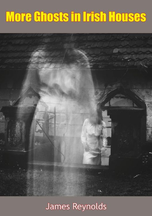 Produktbild: More Ghosts in Irish Houses