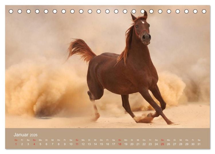 Produktbild: Pferde &bull; Araber im W&uuml;stensand (Tischkalender 2026 DIN A5 quer), CALVENDO Monatskalender