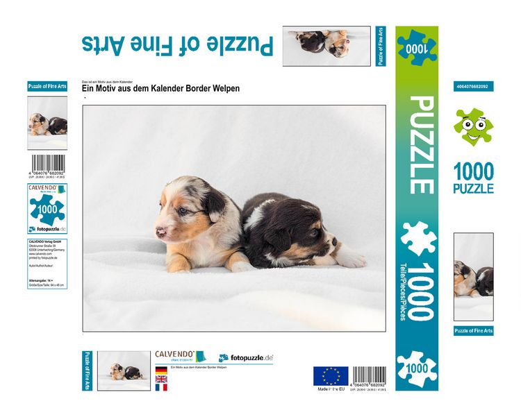 Produktbild: CALVENDO Puzzle Ein Motiv aus dem Kalender Border Welpen | 1000 Teile Lege-Gr&ouml;&szlig;e 64x48cm Foto-Puzzle f&uuml;r gl&uuml;ckliche Stunden