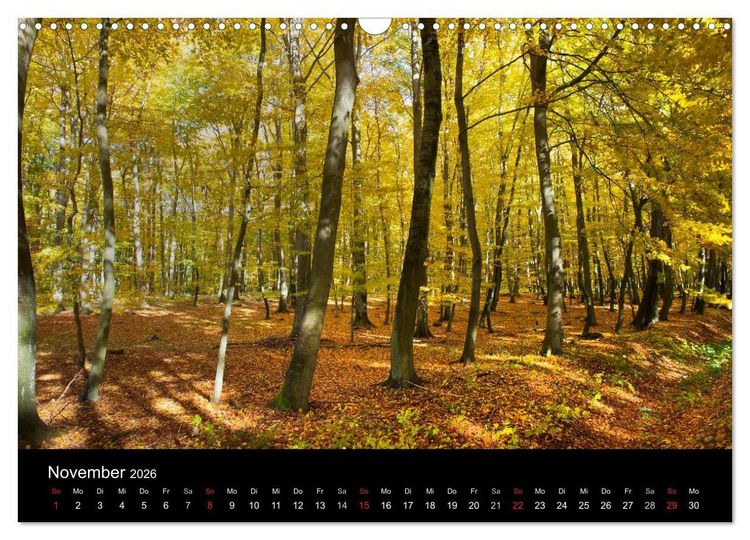 Produktbild: Mecklenburg - Vorpommern (Wandkalender 2026 DIN A3 quer), CALVENDO Monatskalender