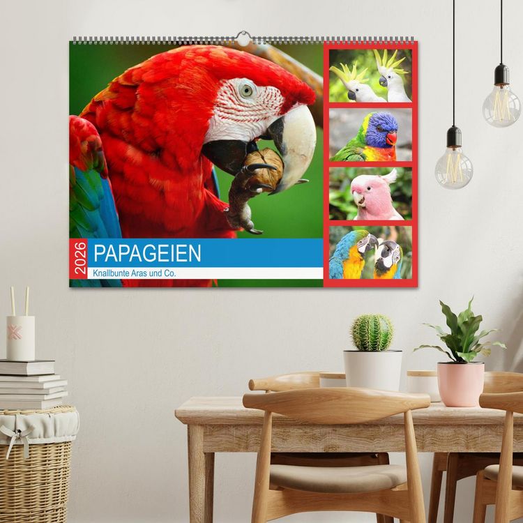 Produktbild: Papageien. Knallbunte Aras und Co. (Wandkalender 2026 DIN A2 quer), CALVENDO Monatskalender
