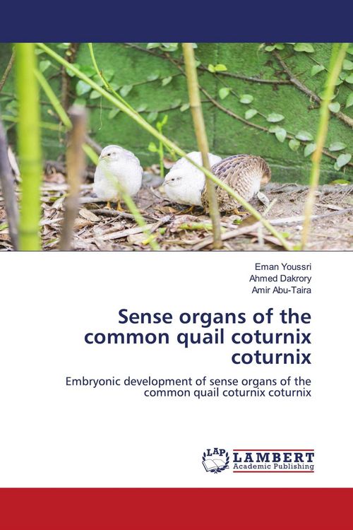 Produktbild: Sense organs of the common quail coturnix coturnix