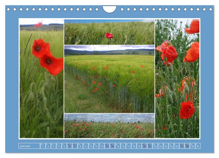 Produktbild: Collagen aus Eifel und Umland 2026 (Wandkalender 2026 DIN A4 quer), CALVENDO Monatskalender