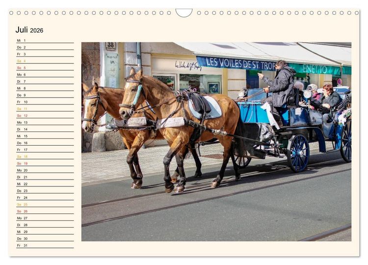 Produktbild: Pferdekutschen - Vorg&auml;nger des Automobils (Wandkalender 2026 DIN A3 quer), CALVENDO Monatskalender