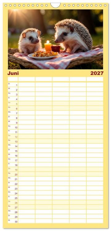 Produktbild: Familienplaner 2027 - Stachelstars mit 5 Spalten (Wandkalender, 21 x 45 cm) CALVENDO