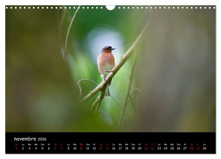 Produktbild: La nature pr&egrave;s de chez vous (Calendrier mural 2026 DIN A3 vertical), CALVENDO calendrier mensuel