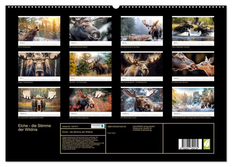 Produktbild: Elche - die Stimme der Wildnis (hochwertiger Premium Wandkalender 2026 DIN A2 quer), Kunstdruck in Hochglanz